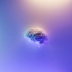 Brain Damage