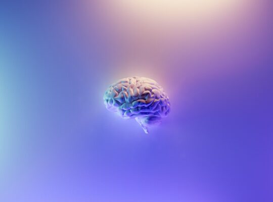 Milad Fakurian- image of a brain