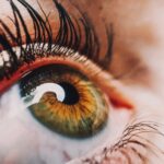 The Sensory Experience