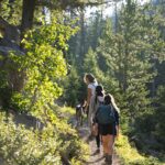 How Hobbies Can Change Your Mind