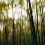 Dealing With Vertigo While Managing Your Illness